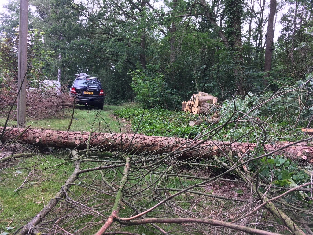 peters bomenservice, beek, zuid limburg, slider van boom kappen, omzagen