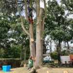 peters bomenservice, beek zuid limburg, snoei kap en zaagwerk, onderhoud bomen, houthakselaar op rupsonderstel, De Jensen A530 XL