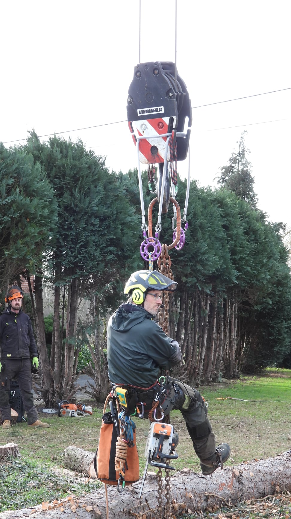 Scheermes Geruststellen ondergoed Mobiele telekraan gebruikt voor afbreken van boom - Peters Bomenservice