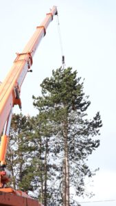 mobieleTelekraan gebruikt, peters bomenservice, beek, zuid limburg, omzagen, hakken, kappen